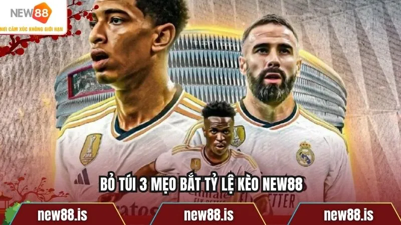 Bỏ túi 3 mẹo bắt tỷ lệ kèo NEW88