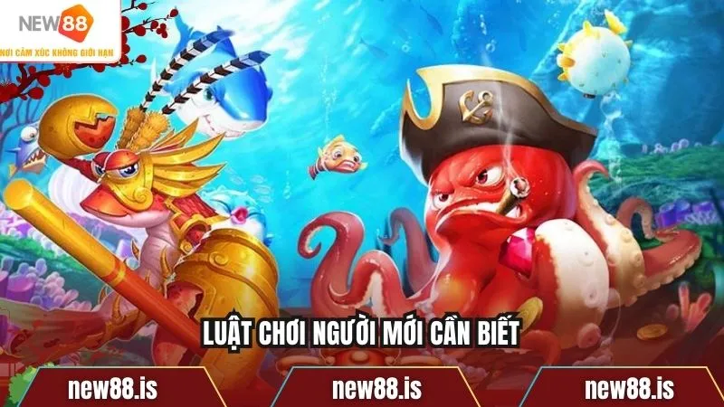 Luật chơi người mới cần biết