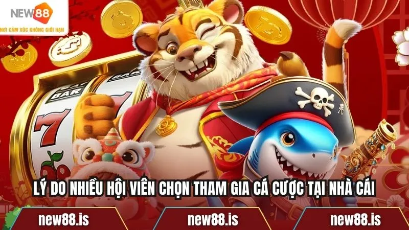 Lý do nhiều hội viên chọn tham gia cá cược tại nhà cái