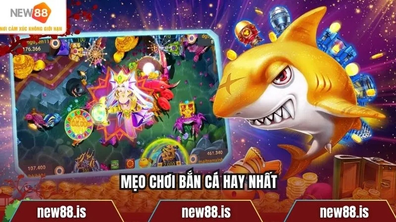 Mẹo chơi bắn cá hay nhất