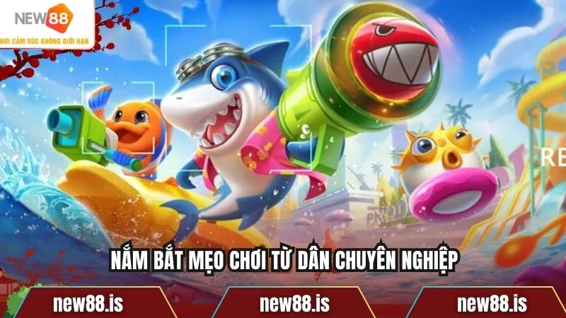 Nắm bắt mẹo chơi từ dân chuyên nghiệp