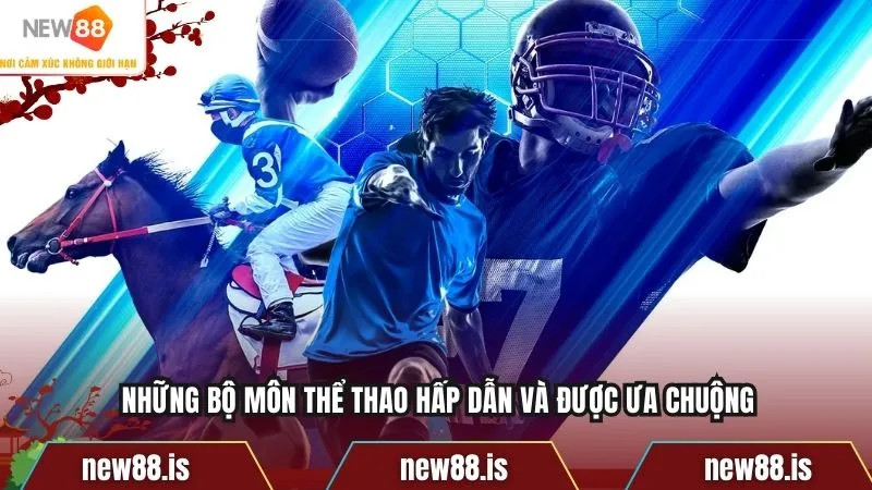 Những bộ môn thể thao hấp dẫn và được ưa chuộng