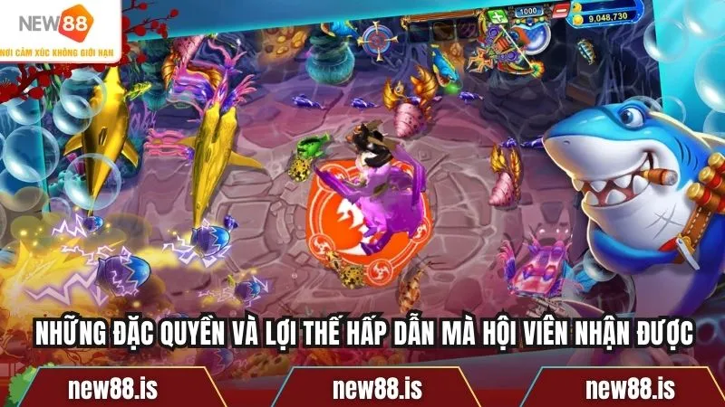 Những đặc quyền và lợi thế hấp dẫn mà hội viên nhận được