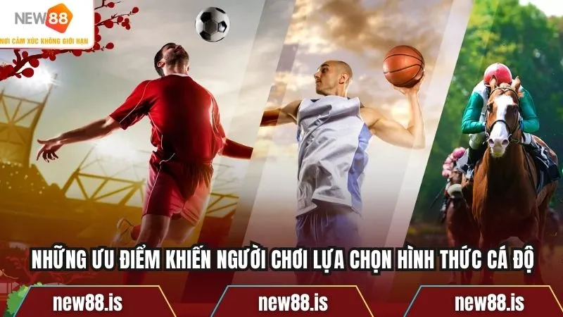 Những ưu điểm khiến người chơi lựa chọn hình thức cá độ