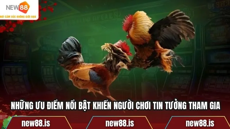 Những ưu điểm nổi bật khiến người chơi tin tưởng tham gia