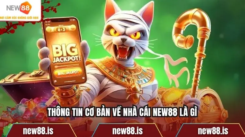 Thông tin cơ bản về nhà cái NEW88 là gì