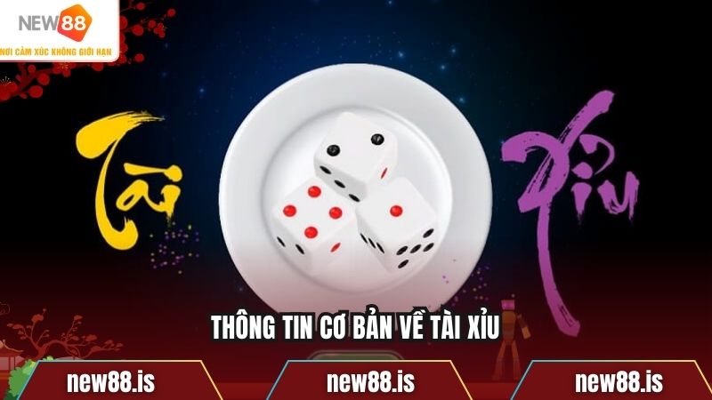 Thông tin cơ bản về tài xỉu