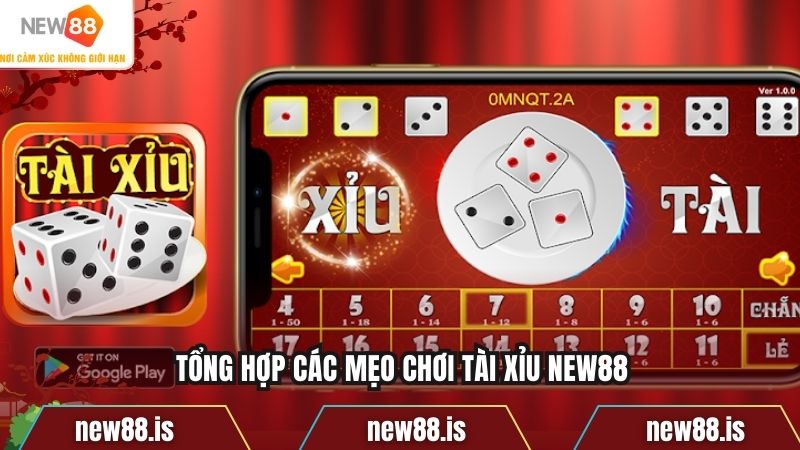 Tổng hợp các mẹo chơi tài xỉu NEW88
